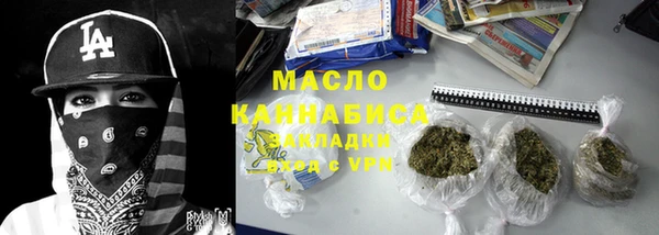 амф Гусь-Хрустальный