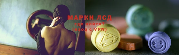 амф Гусь-Хрустальный
