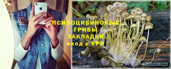 твердый Гусиноозёрск