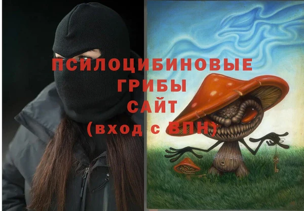 скорость Гусев