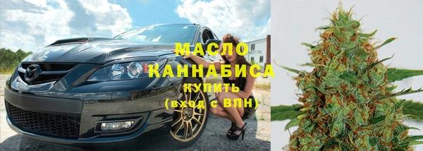 амф Гусь-Хрустальный