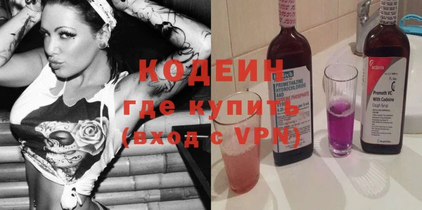 амф Гусь-Хрустальный