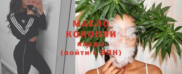 амф Гусь-Хрустальный