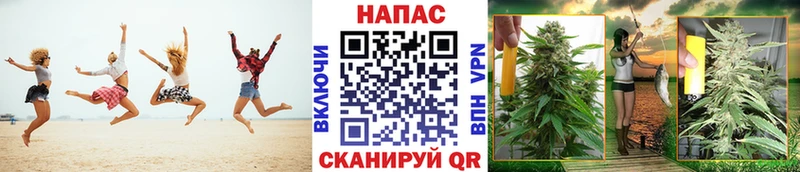 сколько стоит  Люберцы  Каннабис ГИДРОПОН 